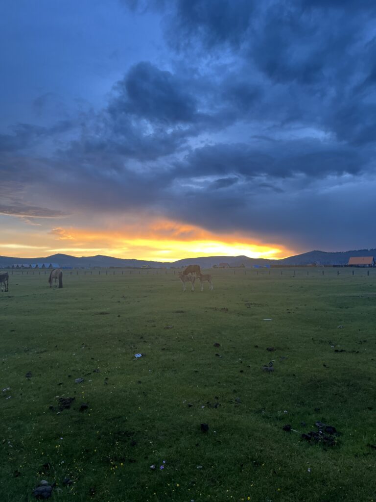 steppe during sunset mongolia