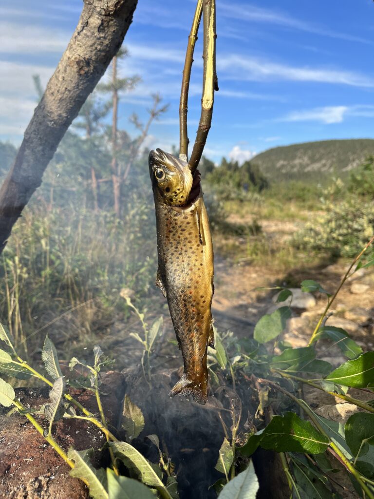 Trout Ivalojaki River