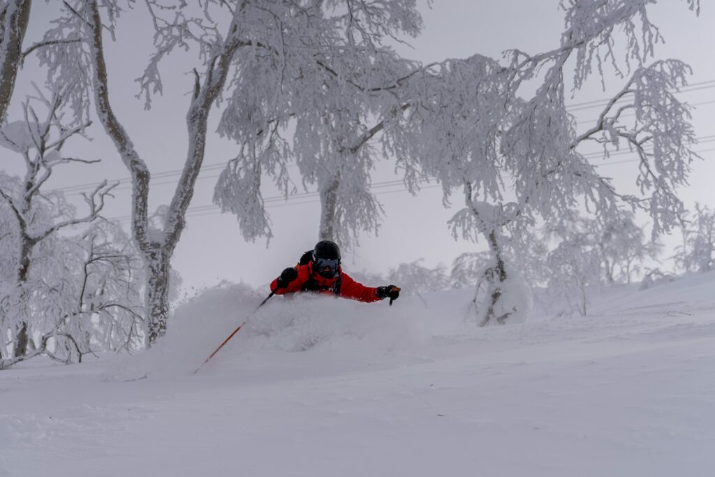 Powder snow in japan