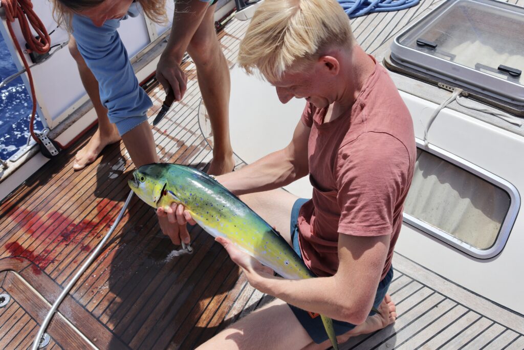 me with caught mahi mahi fish