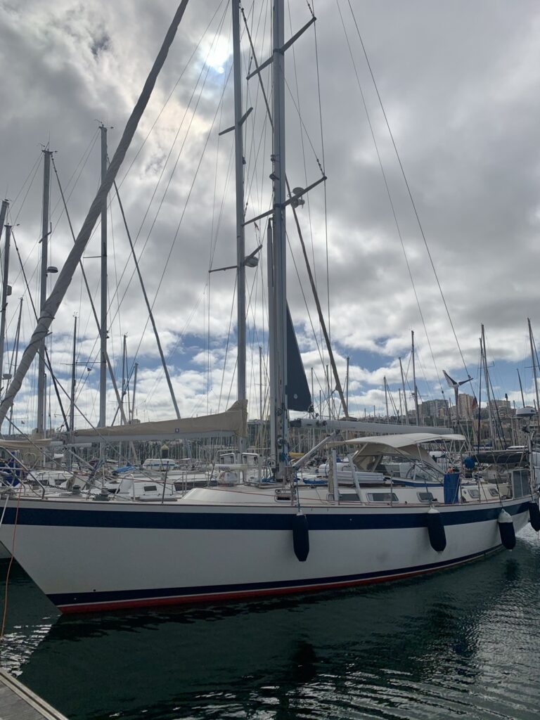 sailboat in the marina